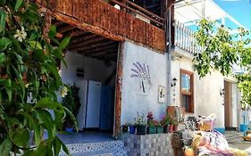 Aliya Konak - Köy Evi ve Lezzetleri