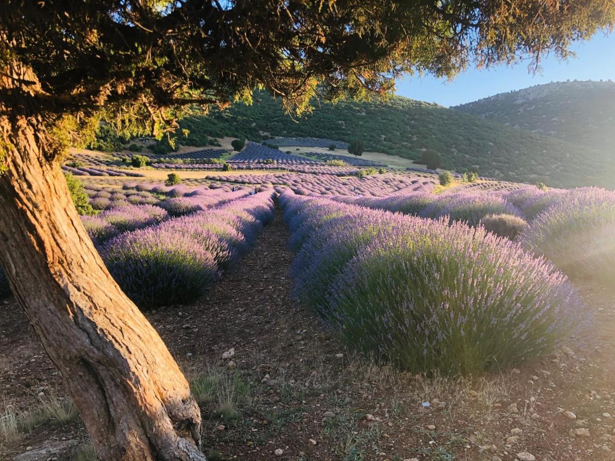 Aliya Konak - Köy Evi ve Lezzetleri Isparta Dış mekan fotoğraf