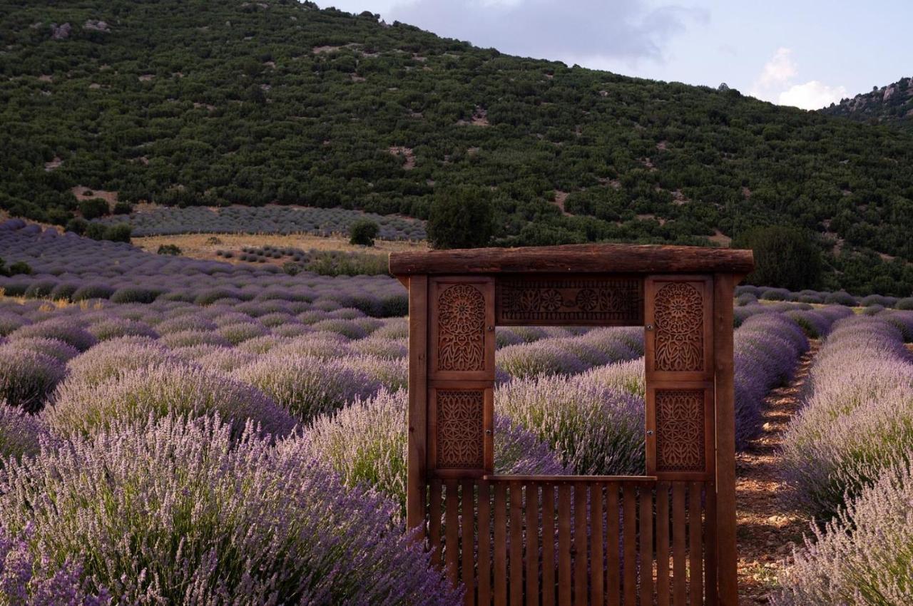 Aliya Konak - Köy Evi ve Lezzetleri Isparta Dış mekan fotoğraf